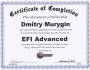 Диплом EFI Advanced